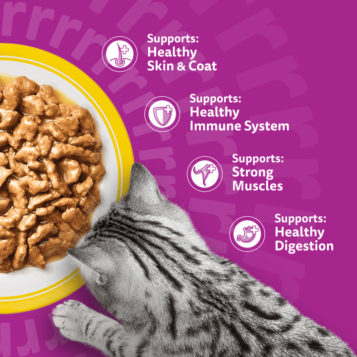 Whiskas 1+ Cat Pouches Poultry Feasts in Gravy 12x85g, view 4