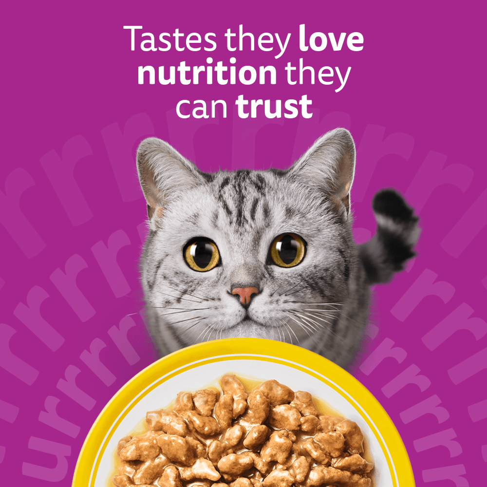 Whiskas 1+ Cat Pouches Poultry Feasts in Gravy 12x85g, view 2
