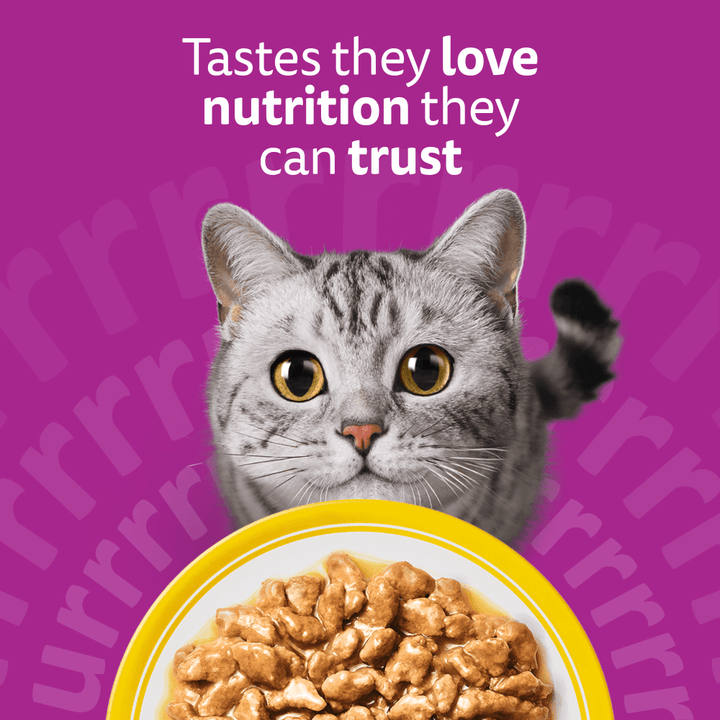 Whiskas 1+ Cat Pouches Poultry Feasts in Gravy 12x85g, view 2