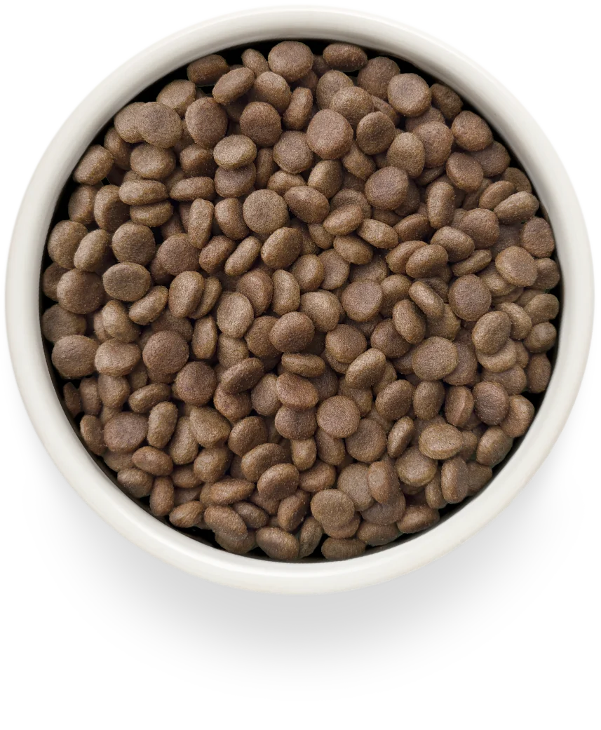 Grandorf Vet Turkey Low Fat Gastro 1kg, view 3