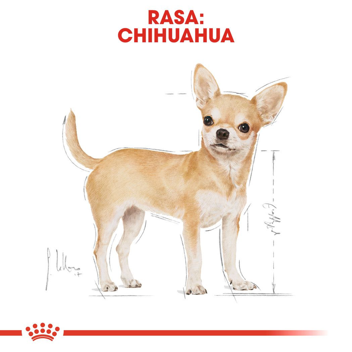 Royal Canin Chihuahua 1.5kg, view 3
