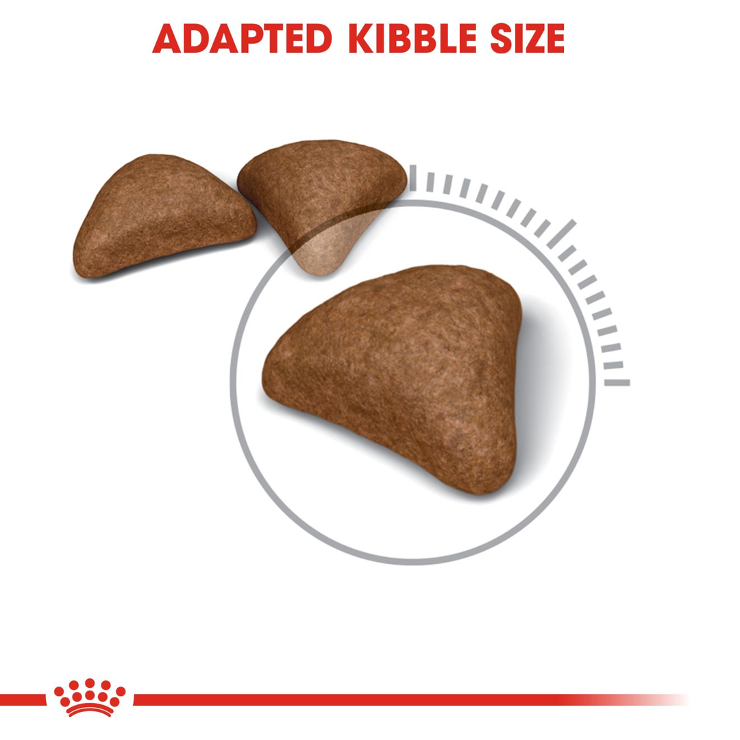 Royal Canin Hairball Care 400Gm, view 4