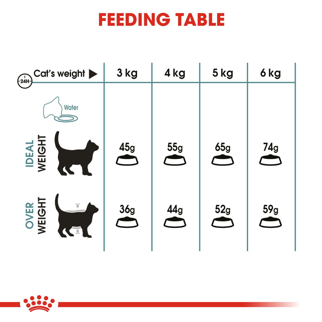 Royal Canin Hairball Care 400Gm, view 6