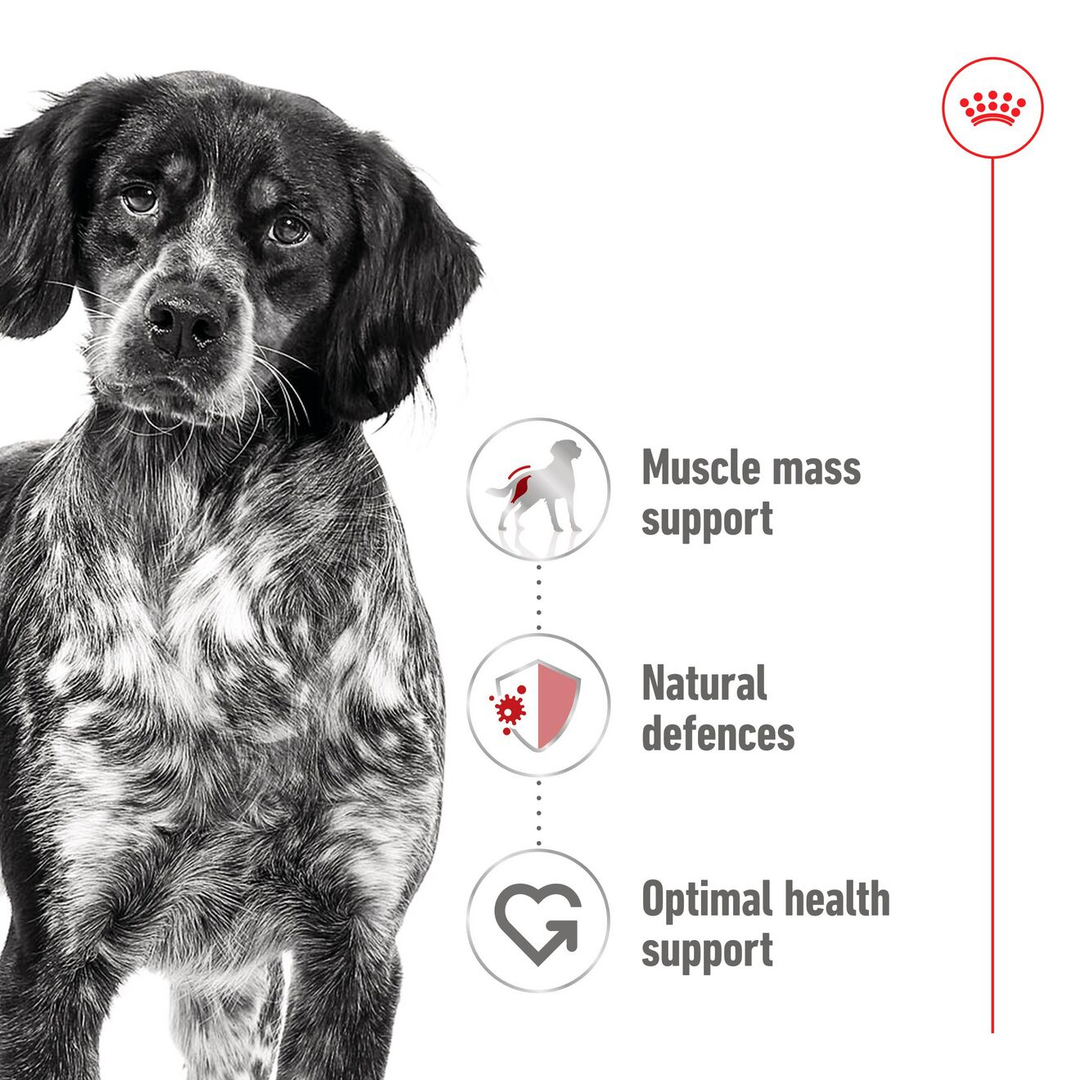 Royal Canin Medium Adult Loaf Tin 410g, view 3