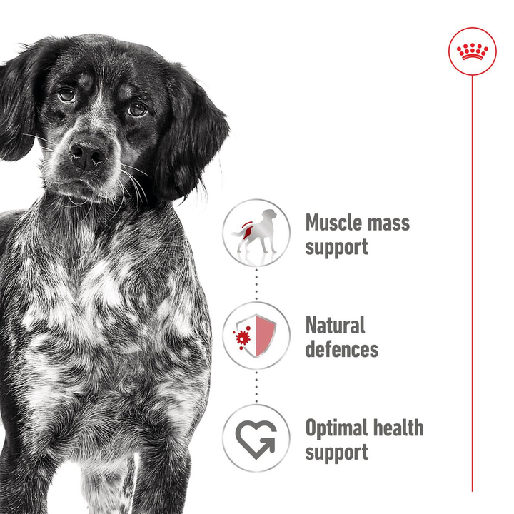Royal Canin Medium Adult Wet Pouch 10x140g, view 3