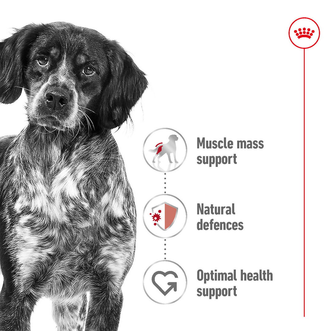 Royal Canin Medium Adult Dry Dog Food 3kg, view 3