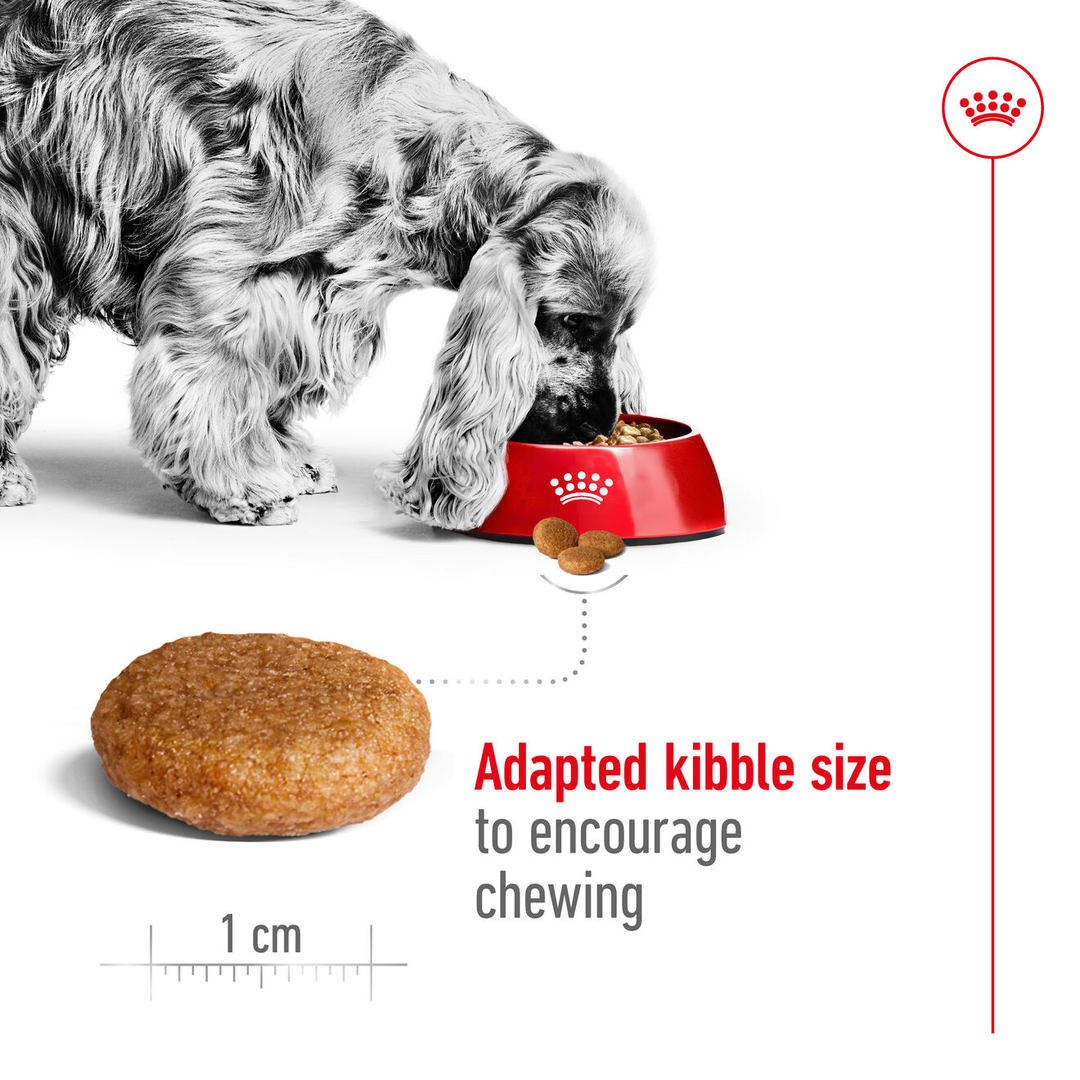 Royal Canin Medium Adult Dry Dog Food 3kg, view 4