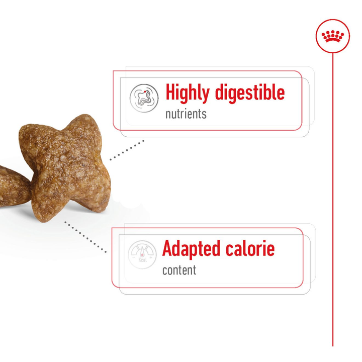 Royal Canin Mini Adult 8kg, view 5