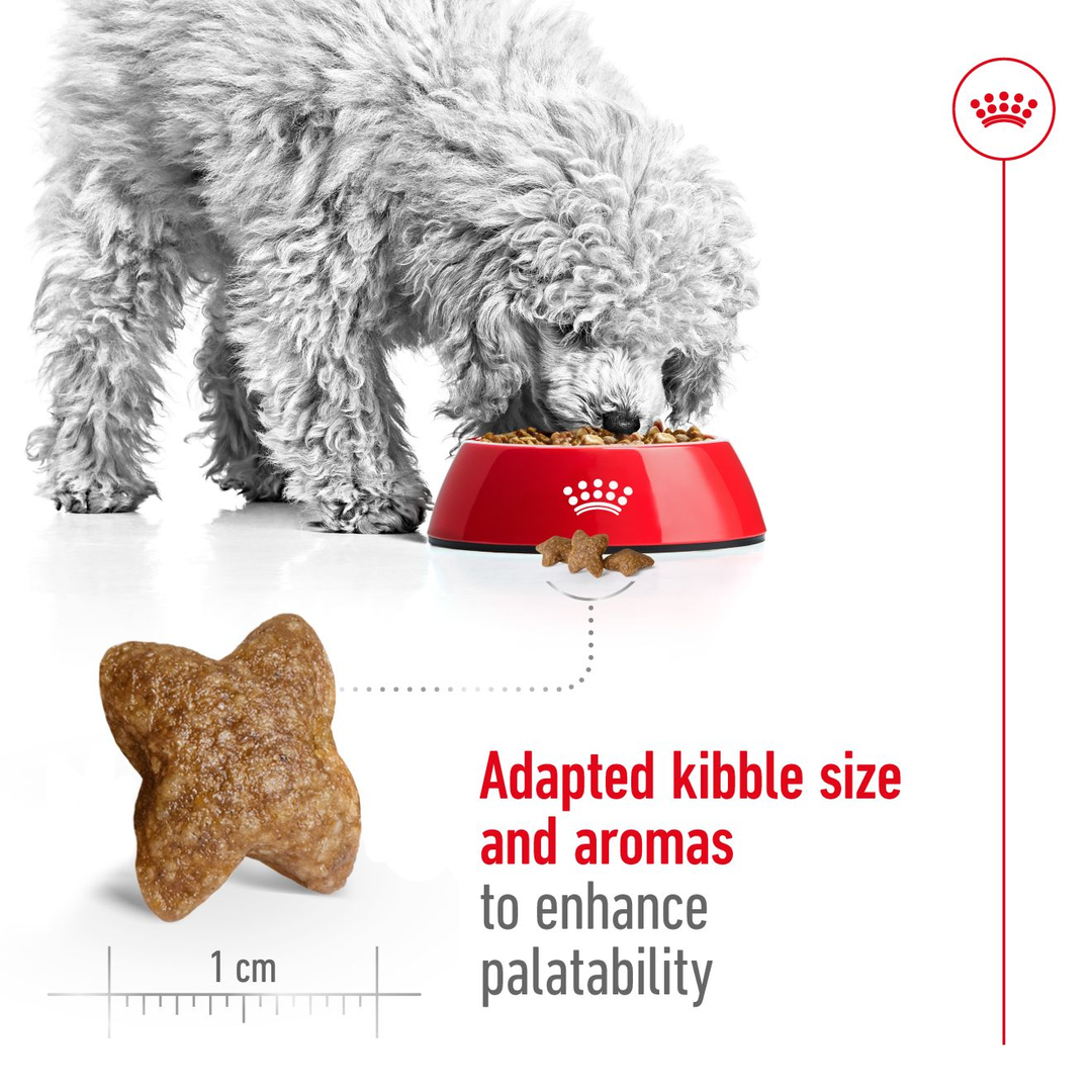 Royal Canin Mini Adult 8kg, view 4
