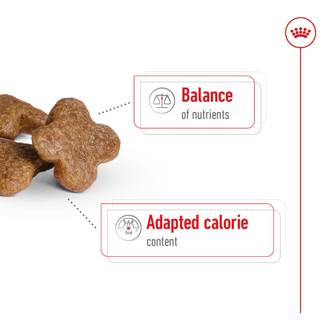 Royal Canin Adult +8 8kg, view 4