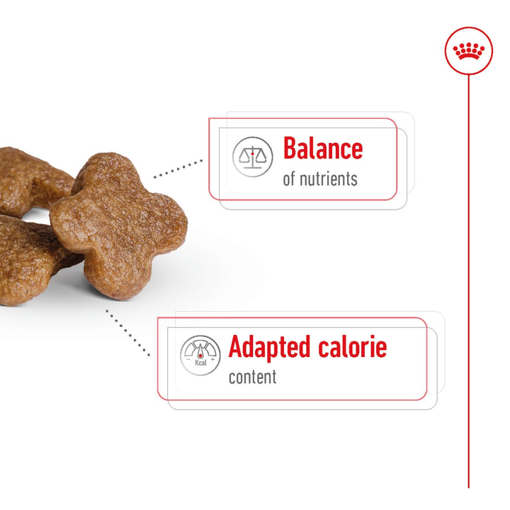 Royal Canin Adult +8 8kg, view 4