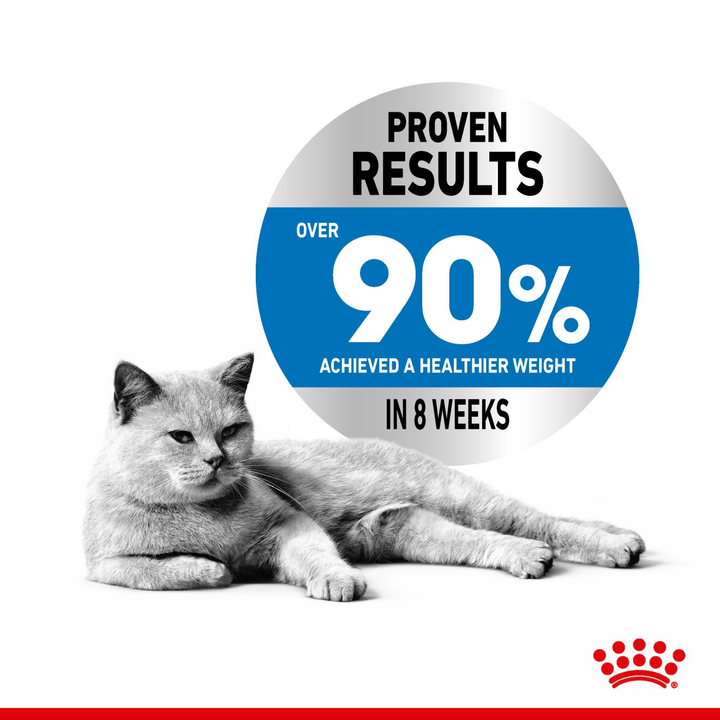 Royal Canin Light 40 400g, view 3