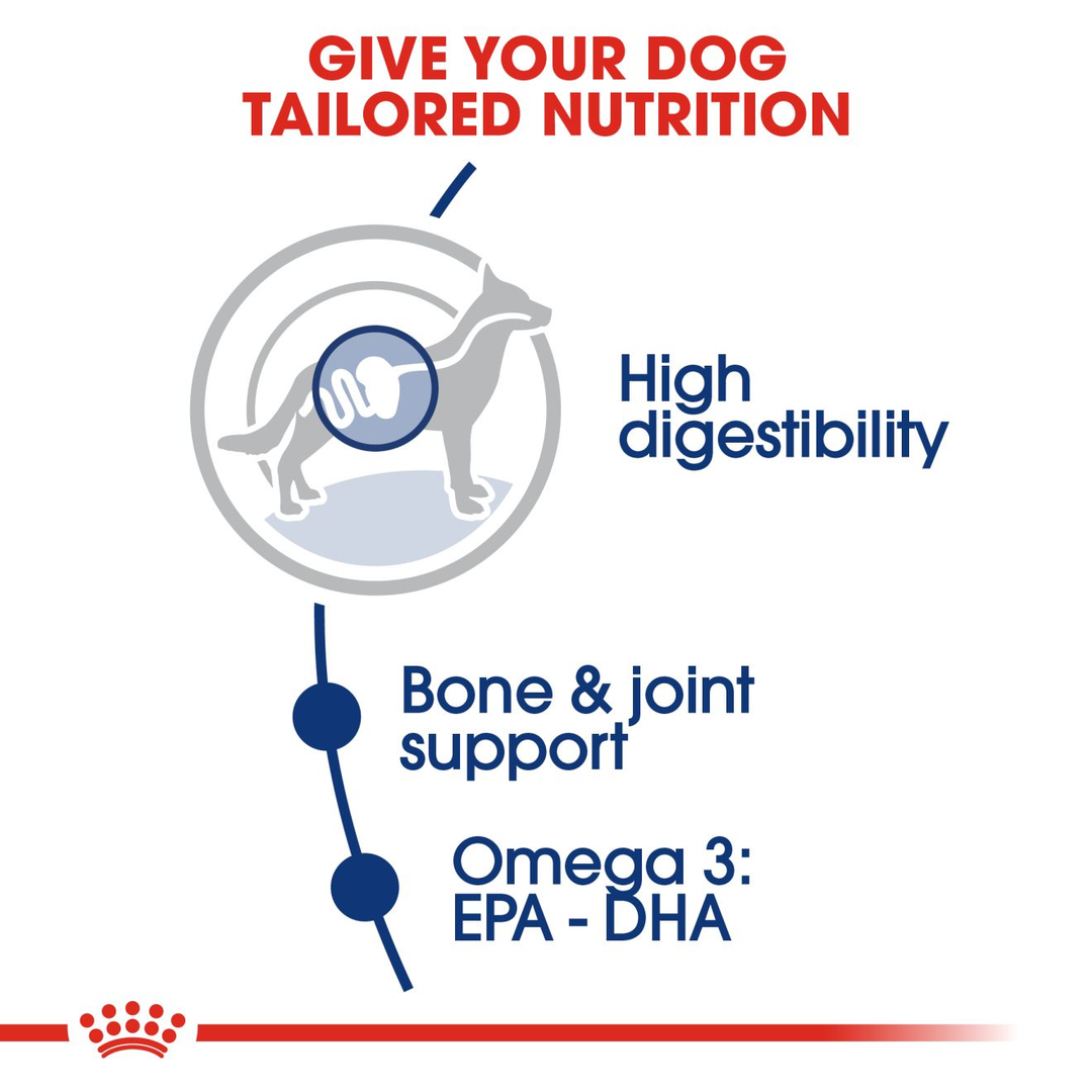 Royal Canin Maxi Adult 12kg, view 4