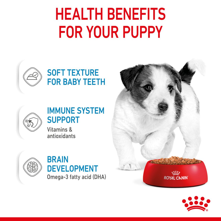 Royal Canin Puppy Mini 12X85g, view 4