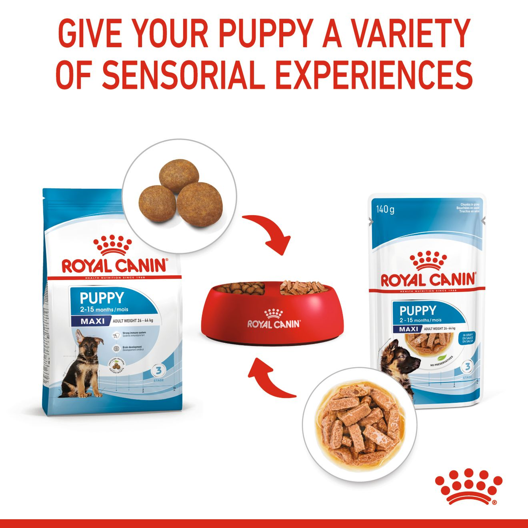 Royal Canin Maxi Puppy 3kg, view 6