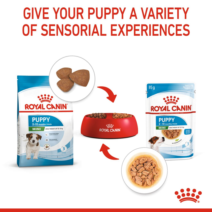 Royal Canin Puppy Mini 12X85g, view 5