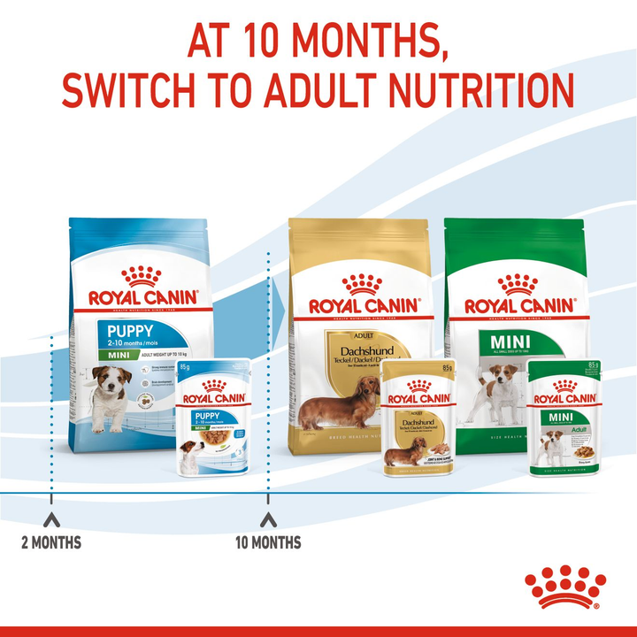 Royal Canin Puppy Mini 12X85g, view 6