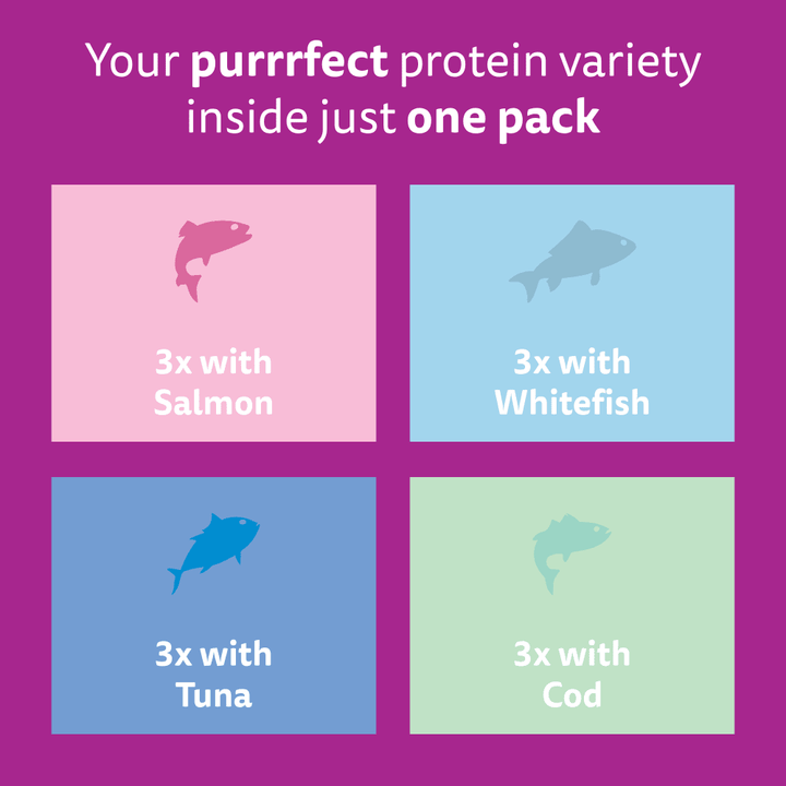 Whiskas 7+ Cat Pouches Fish Favourites in Jelly 12x85g, view 6