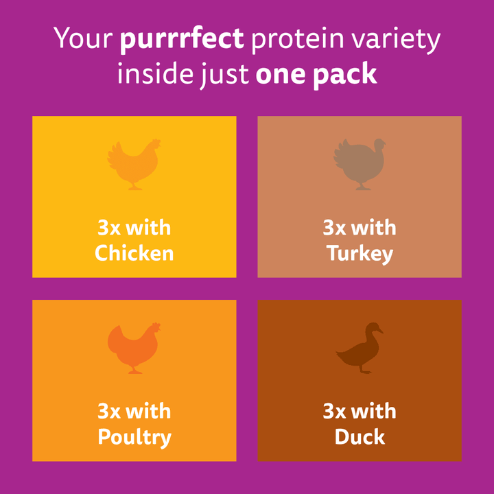 Whiskas 1+ Cat Pouches Poultry Feasts in Gravy 12x85g, view 6