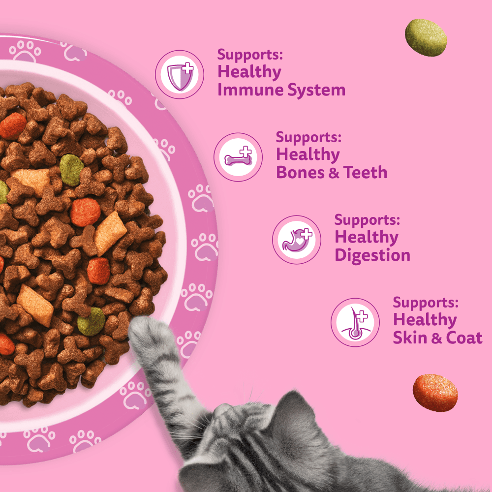 Whiskas Complete Kitten Chicken 1.9kg, view 4