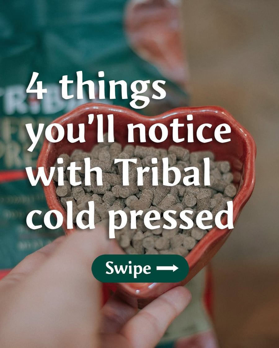4 things you'll notice with Tribal cold pressed