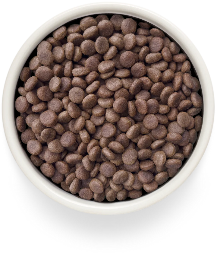 Grandorf Vet Rabbit Hypoallergenic 1kg, view 3