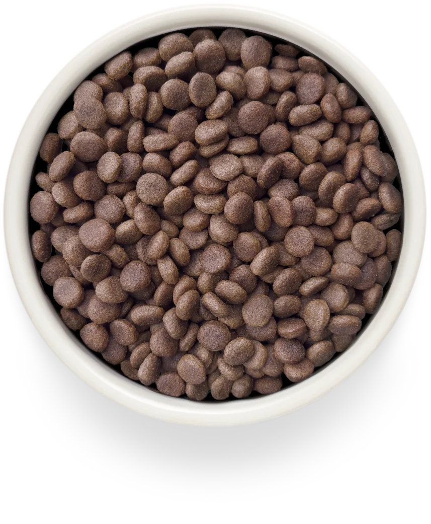 Grandorf Vet Rabbit Hypoallergenic 3kg, view 3