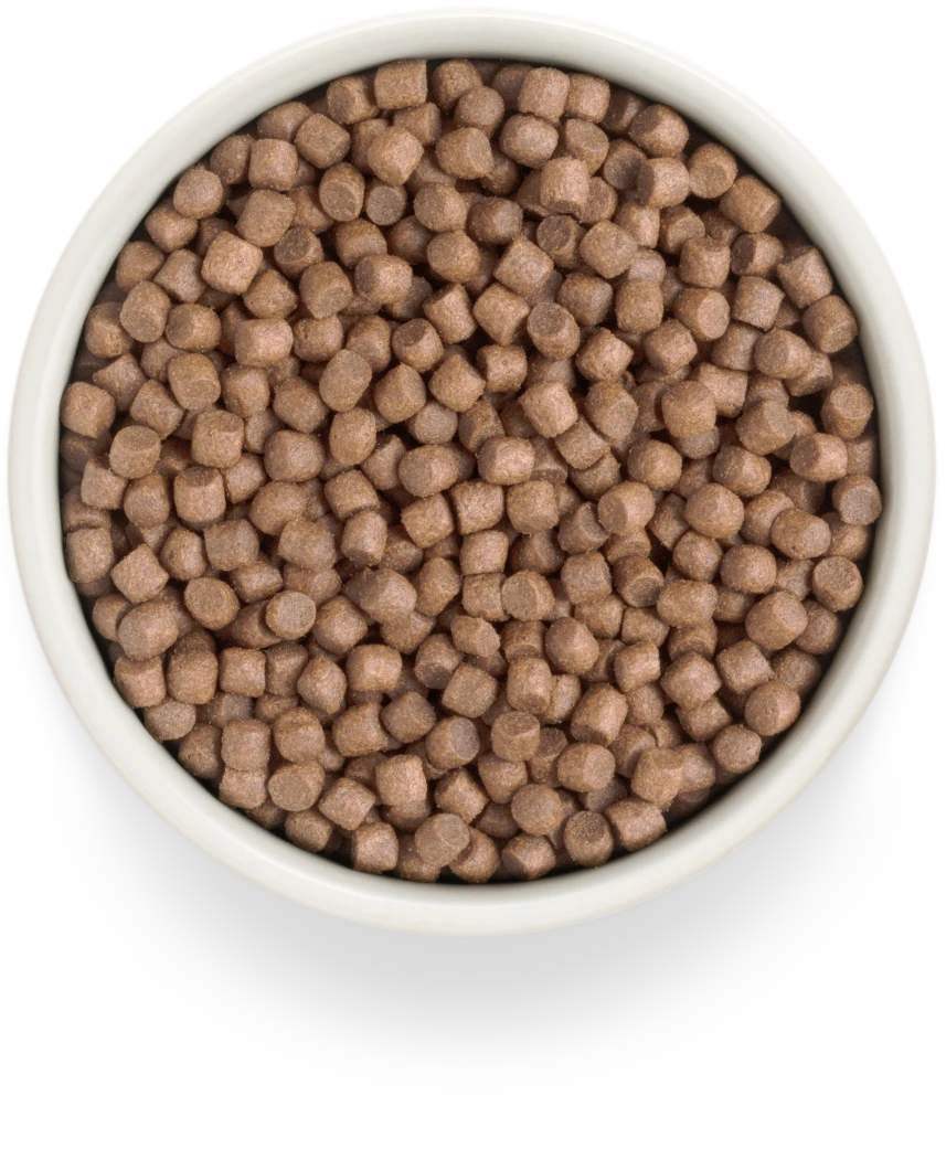 Grandorf Grain-Free Mini Fresh Turkey 1kg, view 3
