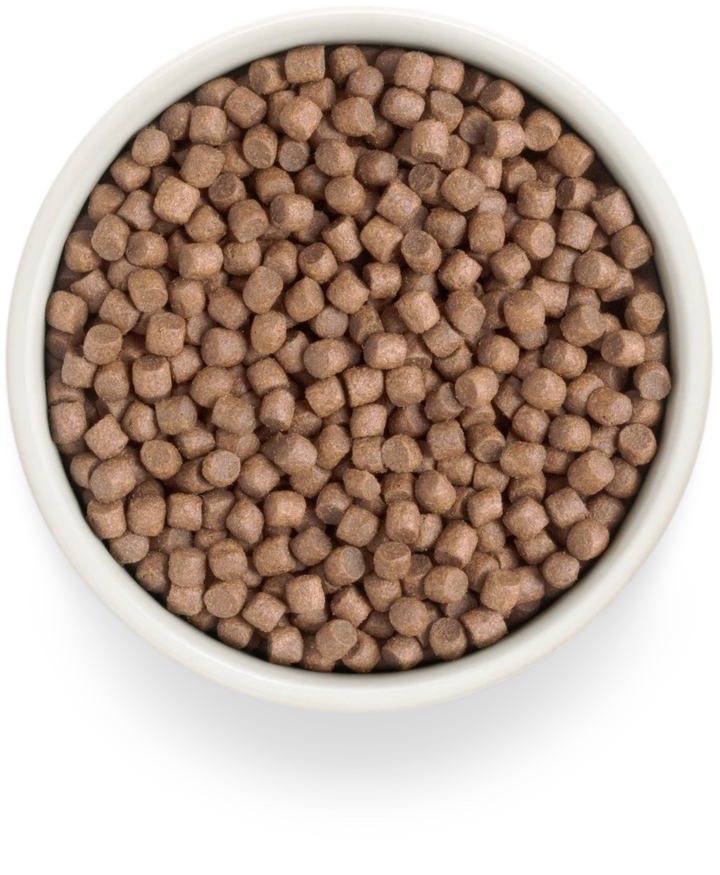 Grandorf Grain-Free Mini Fresh Turkey 1kg, view 3
