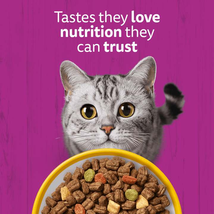 Whiskas 1+ Cat Complete Dry With Chicken 1.9kg, view 2