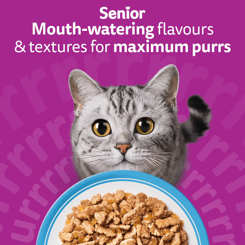 Whiskas 7+ Cat Pouches Fish Favourites in Jelly 12x85g, view 2
