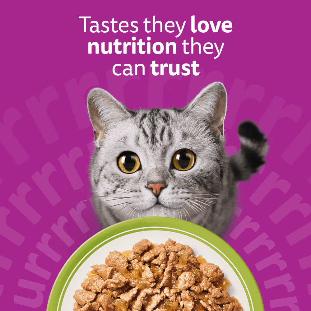 Whiskas 1+ Cat Pouches Mixed Menu in Jelly 40x85g, view 2