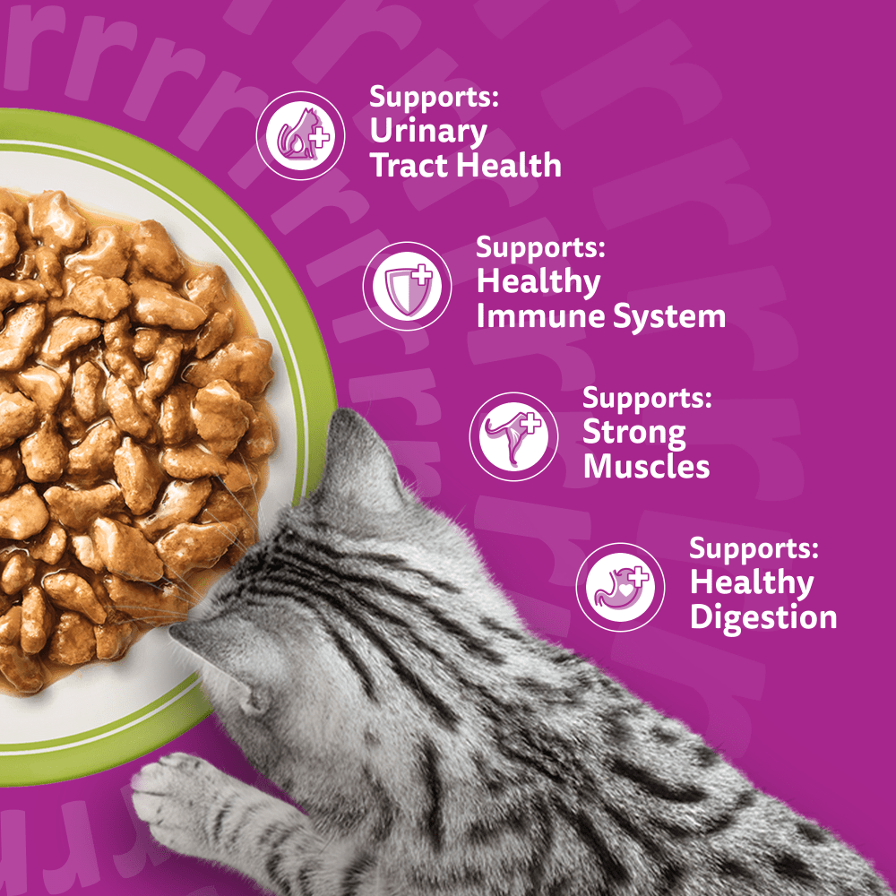 Whiskas 7+ Cat Pouches Mixed Menu in Gravy 12x85g, view 4