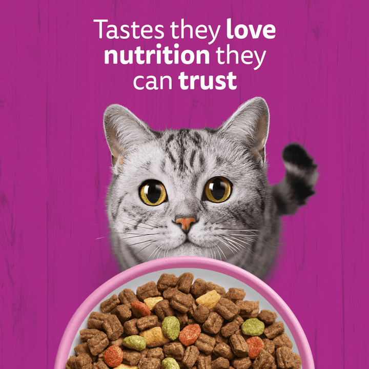 Whiskas Salmon 1+ Years 1.9kg, view 2