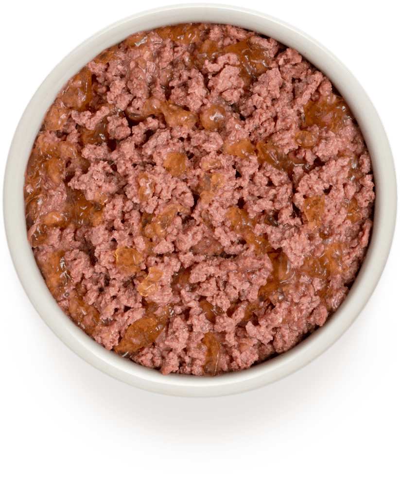 Grandorf Adult Beef and Turkey 400g Tin, view 2