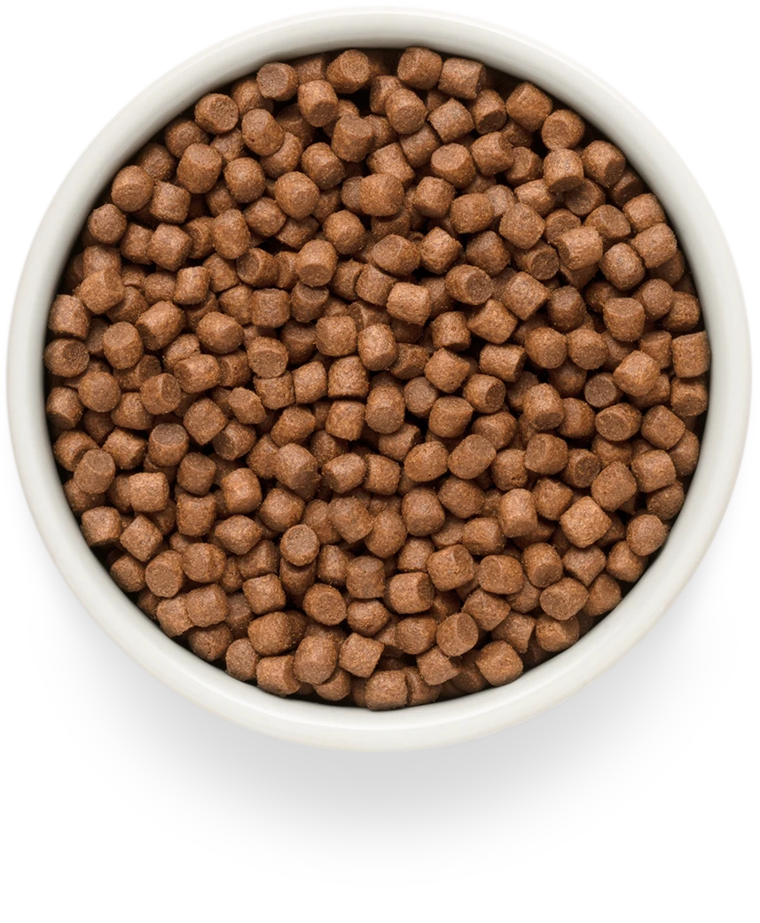 Grandorf Grain-Free Mini Fresh Salmon 1kg, view 3
