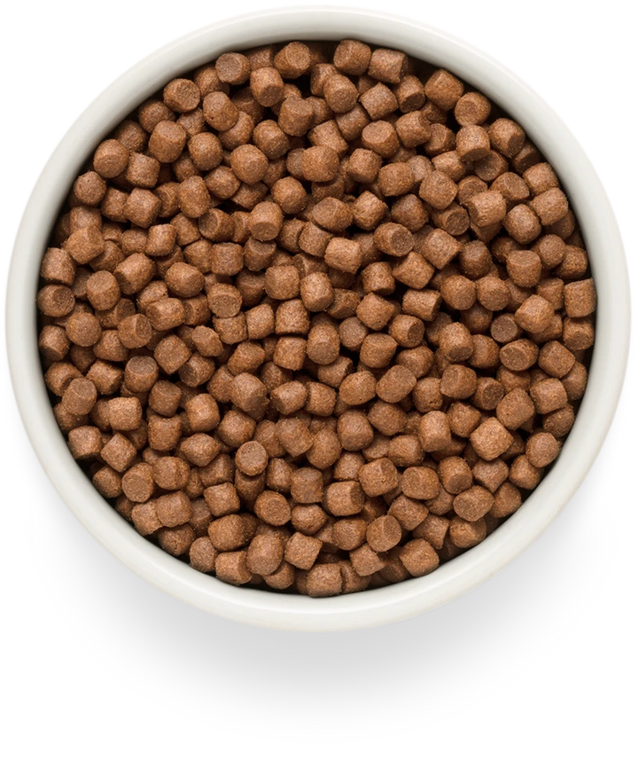 Grandorf Grain-Free Mini Fresh Salmon 1kg, view 3